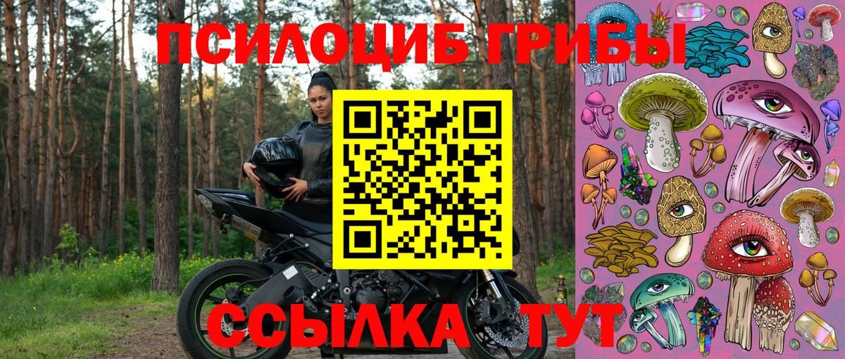 Псилоцибиновые грибы Cubensis Иркутск