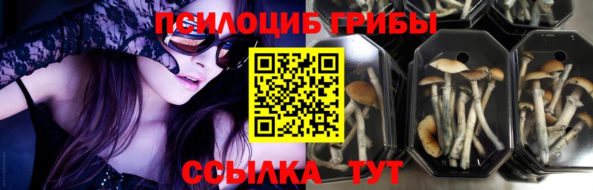 Галлюциногенные грибы ЛСД  Вход с VPN  Галлюциногенные грибы мицелий  Иркутск 